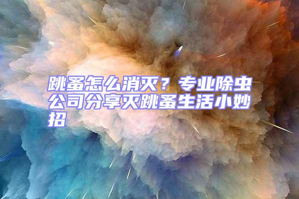 跳蚤怎么消滅？專業(yè)除蟲公司分享滅跳蚤生活小妙招