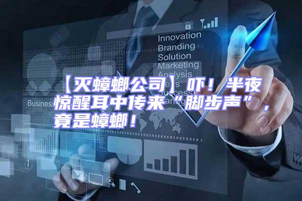 【滅蟑螂公司】嚇！半夜驚醒耳中傳來“腳步聲”，竟是蟑螂！