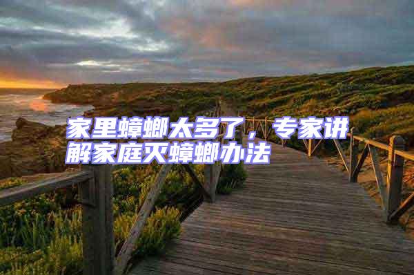 家里蟑螂太多了，專家講解家庭滅蟑螂辦法