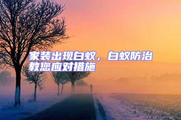 家裝出現(xiàn)白蟻，白蟻防治教您應對措施