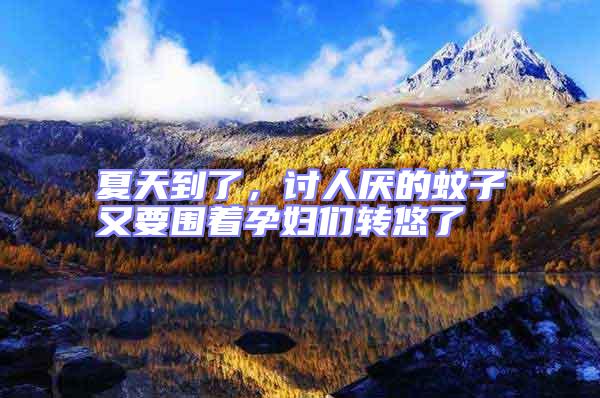 夏天到了，討人厭的蚊子又要圍著孕婦們轉悠了