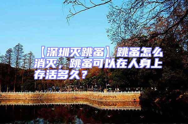 【深圳滅跳蚤】跳蚤怎么消滅，跳蚤可以在人身上存活多久？