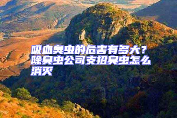 吸血臭蟲的危害有多大？除臭蟲公司支招臭蟲怎么消滅