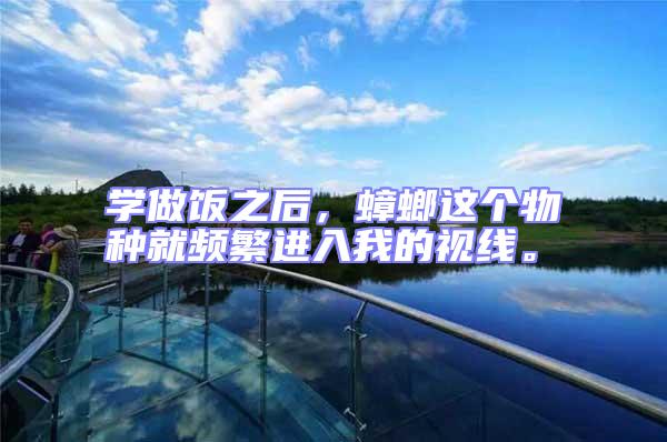 學(xué)做飯之后,蟑螂這個物種就頻繁進(jìn)入我的視線。