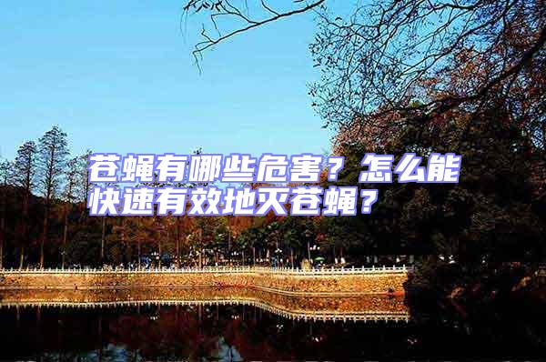 蒼蠅有哪些危害？怎么能快速有效地滅蒼蠅？