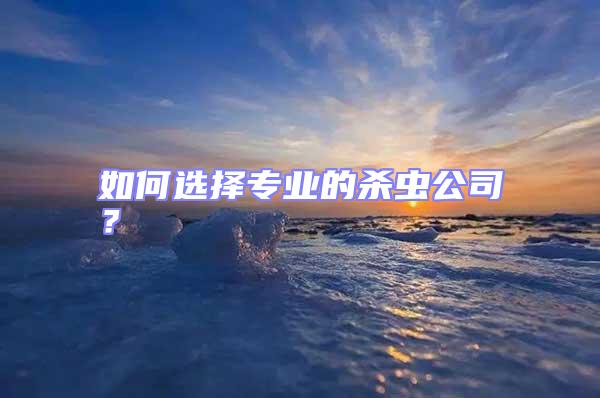 如何選擇專業(yè)的殺蟲公司?