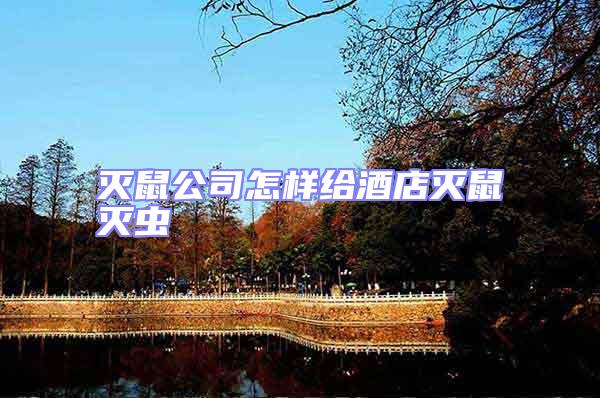 滅鼠公司怎樣給酒店滅鼠滅蟲