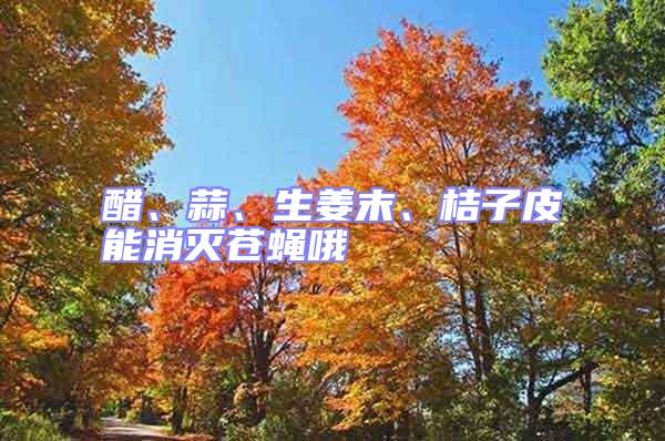 醋、蒜、生姜末、桔子皮能消滅蒼蠅哦