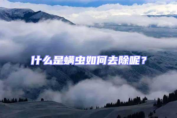 什么是螨蟲如何去除呢？