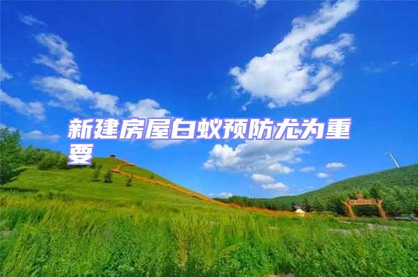 新建房屋白蟻預防尤為重要