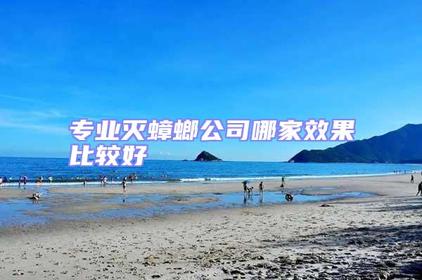 專(zhuān)業(yè)滅蟑螂公司哪家效果比較好