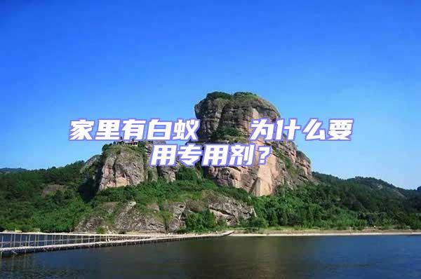 家里有白蟻   為什么要用專用劑？