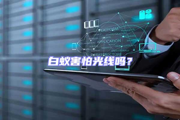 白蟻害怕光線嗎?