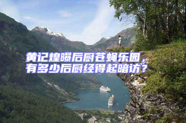 黃記煌曝后廚蒼蠅樂園， 有多少后廚經得起暗訪？