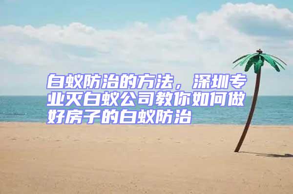 白蟻防治的方法,深圳專業(yè)滅白蟻公司教你如何做好房子的白蟻防治