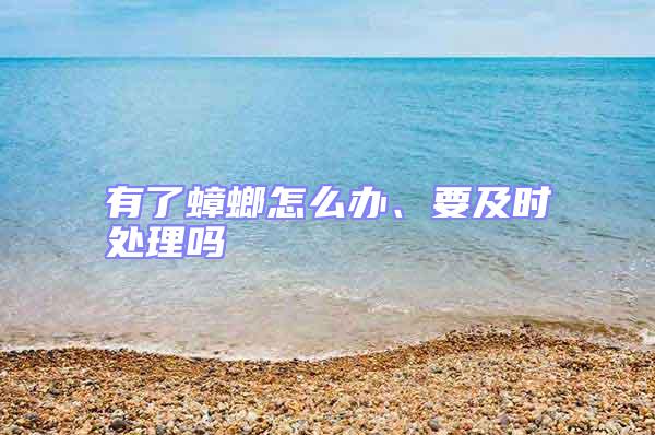 有了蟑螂怎么辦、要及時處理嗎