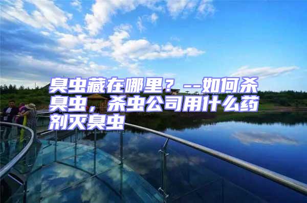 臭蟲藏在哪里？--如何殺臭蟲，殺蟲公司用什么藥劑滅臭蟲