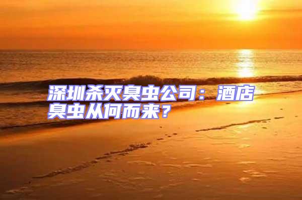 深圳殺滅臭蟲公司：酒店臭蟲從何而來？