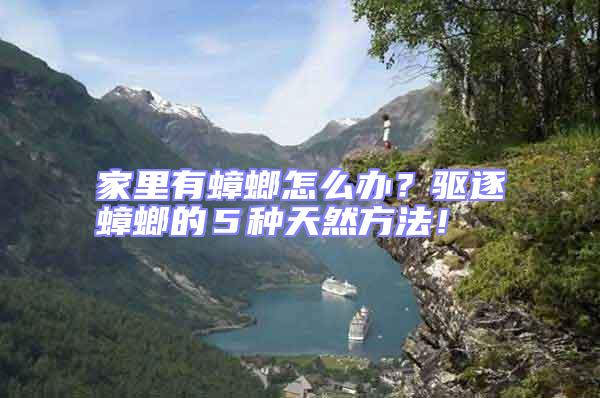 家里有蟑螂怎么辦？驅(qū)逐蟑螂的５種天然方法！