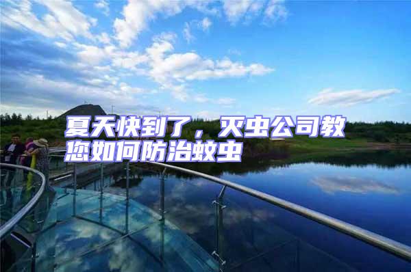 夏天快到了，滅蟲(chóng)公司教您如何防治蚊蟲(chóng)