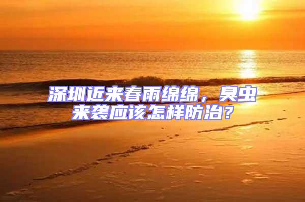 深圳近來春雨綿綿，臭蟲來襲應該怎樣防治？