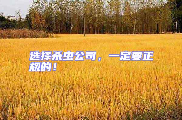 選擇殺蟲公司，一定要正規的！