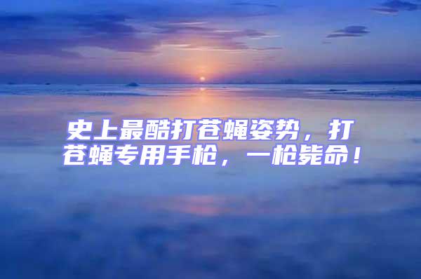 史上最酷打蒼蠅姿勢，打蒼蠅專用手槍，一槍斃命！