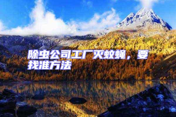 除蟲公司工廠滅蚊蠅，要找準方法