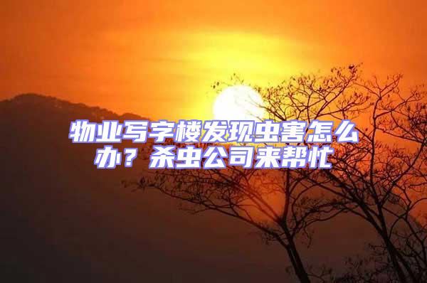 物業(yè)寫(xiě)字樓發(fā)現(xiàn)蟲(chóng)害怎么辦?殺蟲(chóng)公司來(lái)幫忙