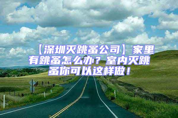【深圳滅跳蚤公司】家里有跳蚤怎么辦?室內滅跳蚤你可以這樣做!