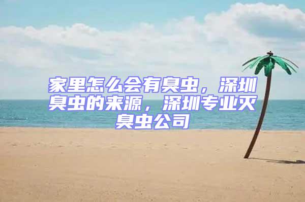 家里怎么會有臭蟲，深圳臭蟲的來源，深圳專業(yè)滅臭蟲公司