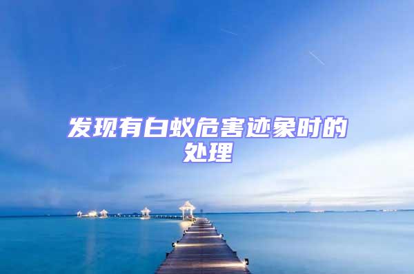 發現有白蟻危害跡象時的處理