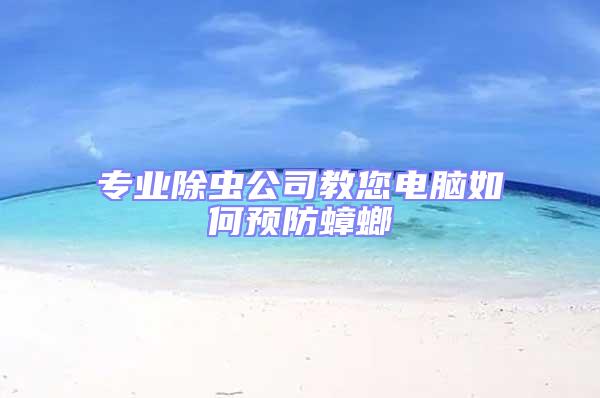 專業除蟲公司教您電腦如何預防蟑螂