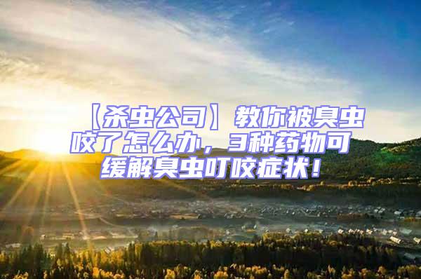 【殺蟲(chóng)公司】教你被臭蟲(chóng)咬了怎么辦，3種藥物可緩解臭蟲(chóng)叮咬癥狀！