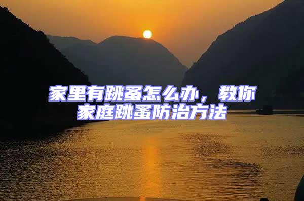家里有跳蚤怎么辦，教你家庭跳蚤防治方法