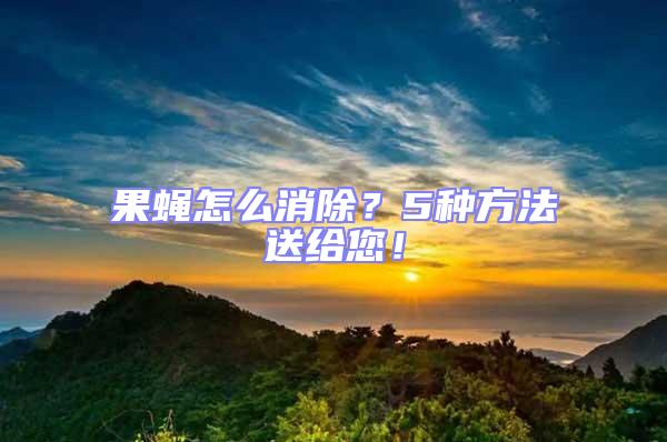 果蠅怎么消除？5種方法送給您！