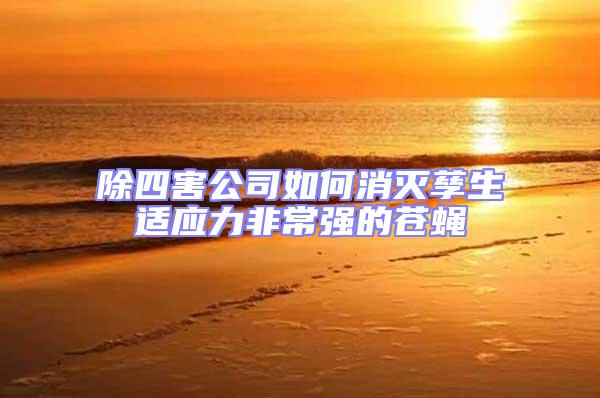 除四害公司如何消滅孳生適應(yīng)力非常強(qiáng)的蒼蠅