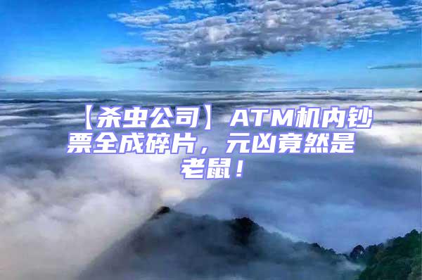 【殺蟲公司】ATM機(jī)內(nèi)鈔票全成碎片，元兇竟然是老鼠！