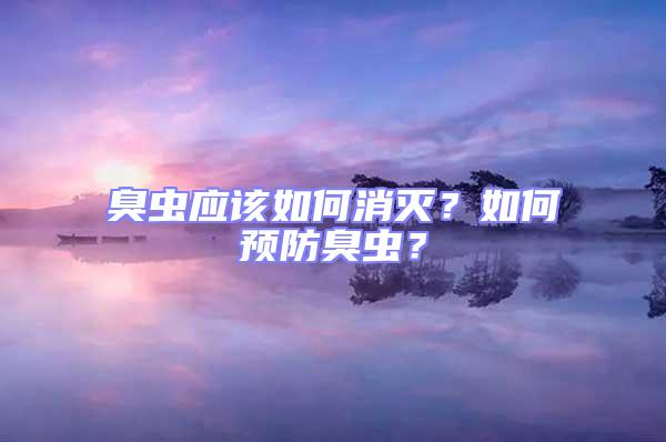 臭蟲應該如何消滅？如何預防臭蟲？