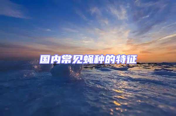 國(guó)內(nèi)常見(jiàn)蠅種的特征