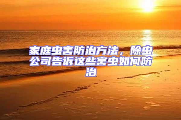 家庭蟲害防治方法,除蟲公司告訴這些害蟲如何防治