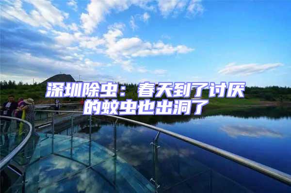 深圳除蟲：春天到了討厭的蚊蟲也出洞了