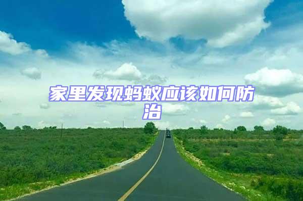 家里發(fā)現(xiàn)螞蟻應(yīng)該如何防治