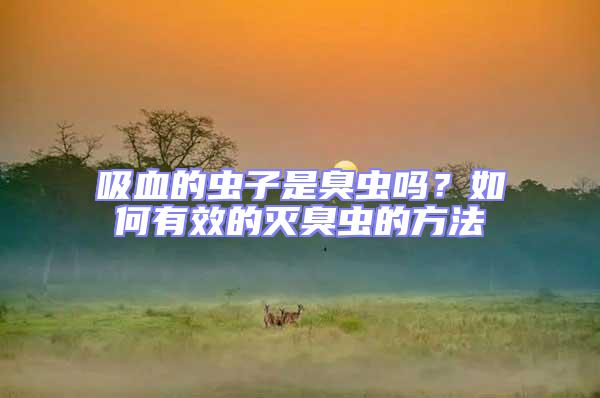 吸血的蟲子是臭蟲嗎？如何有效的滅臭蟲的方法