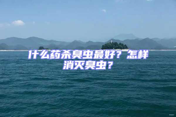 什么藥殺臭蟲最好?怎樣消滅臭蟲?
