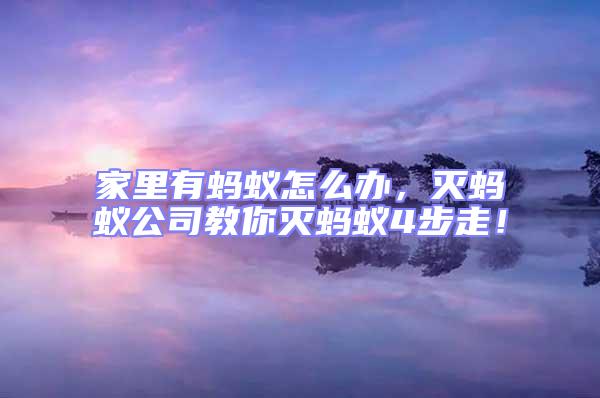家里有螞蟻怎么辦，滅螞蟻公司教你滅螞蟻4步走！