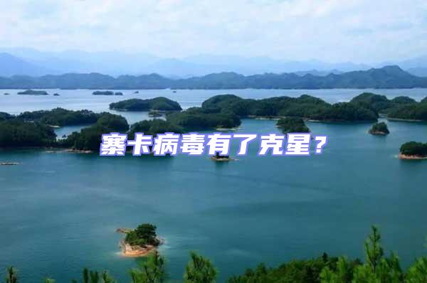 寨卡病毒有了克星？