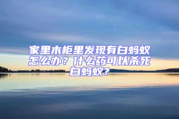 家里木柜里發現有白螞蟻怎么辦？什么藥可以殺死白螞蟻？