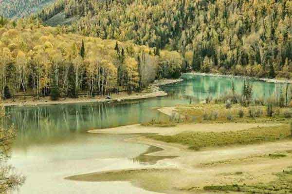 深圳殺蟲公司給你最專業(yè)的殺蟲服務