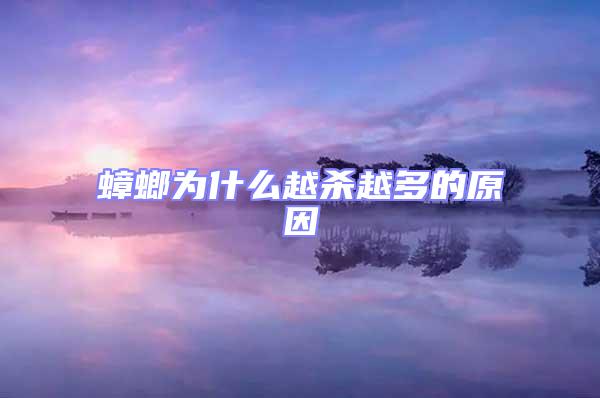 蟑螂為什么越殺越多的原因